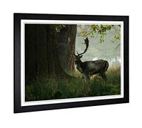 Big Box Art Framed Print of Stag in Woodland Landscape Design | Wall Art Picture | Home Decor for Kitchen, Living, Dining Room, Bedroom, Hallway, Office, Black, A2 / 24.5x18 Inch / 62x45cm