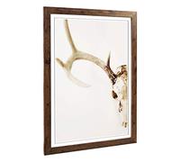 Big Box Art Framed Print of Stag Skull Design | Wall Art Picture | Home Decor for Kitchen, Living, Dining Room, Lounge, Bedroom, Hallway, Office, Walnut, A2 / 24.5x18 Inch / 62x45cm