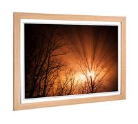 Big Box Art Framed Print of Sun Rays Through The Trees Design | Wall Art Picture | Home Decor for Kitchen, Living, Dining Room, Bedroom, Hallway, Office, Oak, A2 / 24.5x18 Inch / 62x45cm