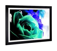 Big Box Art Framed Print of Teal Flower Rose Design | Wall Art Picture | Home Decor for Kitchen, Living, Dining Room, Lounge, Bedroom, Hallway, Office, Black, A2 / 24.5x18 Inch / 62x45cm
