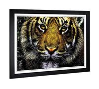 Big Box Art Framed Print of Tiger Design | Wall Art Picture | Home Decor for Kitchen, Living, Dining Room, Lounge, Bedroom, Hallway, Office, Black, A2 / 24.5x18 Inch / 62x45cm