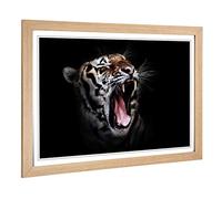 Big Box Art Framed Print of Tiger Design | Wall Art Picture | Home Decor for Kitchen, Living, Dining Room, Lounge, Bedroom, Hallway, Office, Oak, A2 / 24.5x18 Inch / 62x45cm