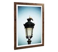 Big Box Art Framed Print of Turtledove Collared Dove Pigeon Design | Wall Art Picture | Home Decor for Kitchen, Living Room, Bedroom, Hallway, Walnut, A2 / 24.5x18 Inch / 62x45cm