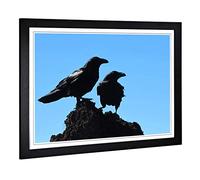 Big Box Art Framed Print of Two Crows Design | Wall Art Picture | Home Decor for Kitchen, Living, Dining Room, Lounge, Bedroom, Hallway, Office, Black, A2 / 24.5x18 Inch / 62x45cm