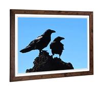 Big Box Art Framed Print of Two Crows Design | Wall Art Picture | Home Decor for Kitchen, Living, Dining Room, Lounge, Bedroom, Hallway, Office, Walnut, A2 / 24.5x18 Inch / 62x45cm