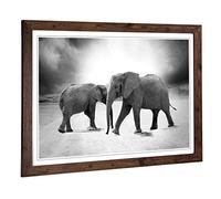 Big Box Art Framed Print of Two Elephants Design | Wall Art Picture | Home Decor for Kitchen, Living, Dining Room, Lounge, Bedroom, Hallway, Office, Walnut, A2 / 24.5x18 Inch / 62x45cm
