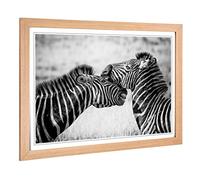 Big Box Art Framed Print of Two Zebras Design | Wall Art Picture | Home Decor for Kitchen, Living, Dining Room, Lounge, Bedroom, Hallway, Office, Oak, A2 / 24.5x18 Inch / 62x45cm