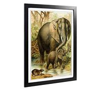 Big Box Art Framed Print of Vintage African Elephants & Hyrax Design | Wall Art Picture | Home Decor for Kitchen, Living Room, Bedroom, Hallway, Black, A2 / 24.5x18 Inch / 62x45cm