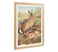 Big Box Art Framed Print of Vintage Charles Francis Newall Hares & Leverets Design | Wall Art Picture| Home Decor for Kitchen, Living Room, Bedroom, Hallway, Oak, A2 / 24.5x18 Inch / 62x45cm
