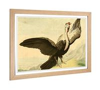Big Box Art Framed Print of Vintage Charles R Ryley Condor Design | Wall Art Picture | Home Decor for Kitchen, Living, Dining Room, Bedroom, Hallway, Office, Oak, A2 / 24.5x18 Inch / 62x45cm