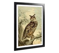 Big Box Art Framed Print of Vintage Charles R Ryley Horned Owl Design | Wall Art Picture | Home Decor for Kitchen, Living Room, Bedroom, Hallway, Black, A2 / 24.5x18 Inch / 62x45cm