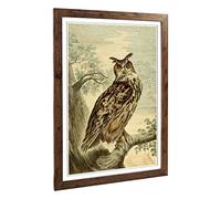 Big Box Art Framed Print of Vintage Charles R Ryley Horned Owl Design | Wall Art Picture | Home Decor for Kitchen, Living Room, Bedroom, Hallway, Walnut, A2 / 24.5x18 Inch / 62x45cm