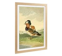 Big Box Art Framed Print of Vintage Charles R Ryley Mandarin Duck Design | Wall Art Picture | Home Decor for Kitchen, Living Room, Bedroom, Hallway, Oak, A2 / 24.5x18 Inch / 62x45cm