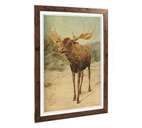 Big Box Art Framed Print of Vintage E.A. Holmes Alaskan Moose Design | Wall Art Picture | Home Decor for Kitchen, Living Room, Bedroom, Hallway, Walnut, A2 / 24.5x18 Inch / 62x45cm