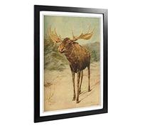Big Box Art Framed Print of Vintage E.A. Holmes Alaskan Moose Design | Wall Art Picture | Home Decor for Kitchen, Living Room, Bedroom, Hallway, Black, A2 / 24.5x18 Inch / 62x45cm