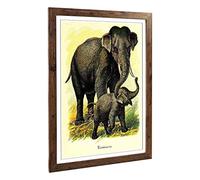 Big Box Art Framed Print of Vintage Elephants Design | Wall Art Picture | Home Decor for Kitchen, Living, Dining Room, Lounge, Bedroom, Hallway, Office, Walnut, A2 / 24.5x18 Inch / 62x45cm