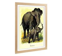 Big Box Art Framed Print of Vintage Elephants Design | Wall Art Picture | Home Decor for Kitchen, Living, Dining Room, Lounge, Bedroom, Hallway, Office, Oak, A2 / 24.5x18 Inch / 62x45cm