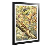 Big Box Art Framed Print of Vintage Fleischmann. Josef Flying Dragon Design | Wall Art Picture | Home Decor for Kitchen, Living Room, Bedroom, Hallway, Black, A2 / 24.5x18 Inch / 62x45cm