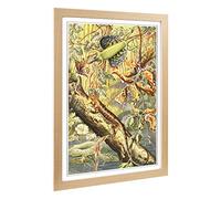 Big Box Art Framed Print of Vintage Fleischmann. Josef Flying Dragon Design | Wall Art Picture | Home Decor for Kitchen, Living Room, Bedroom, Hallway, Oak, A2 / 24.5x18 Inch / 62x45cm