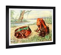 Big Box Art Framed Print of Vintage Fleischmann. Josef Horned Toad Design | Wall Art Picture | Home Decor for Kitchen, Living Room, Bedroom, Hallway, Black, A2 / 24.5x18 Inch / 62x45cm
