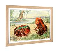 Big Box Art Framed Print of Vintage Fleischmann. Josef Horned Toad Design | Wall Art Picture | Home Decor for Kitchen, Living Room, Bedroom, Hallway, Oak, A2 / 24.5x18 Inch / 62x45cm
