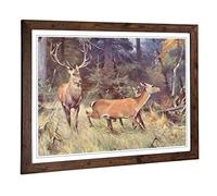 Big Box Art Framed Print of Vintage Friese. R. Red Deer Design | Wall Art Picture | Home Decor for Kitchen, Living, Dining Room, Bedroom, Hallway, Office, Walnut, A2 / 24.5x18 Inch / 62x45cm