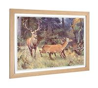 Big Box Art Framed Print of Vintage Friese. R. Red Deer Design | Wall Art Picture | Home Decor for Kitchen, Living, Dining Room, Bedroom, Hallway, Office, Oak, A2 / 24.5x18 Inch / 62x45cm