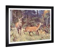 Big Box Art Framed Print of Vintage Friese. R. Red Deer Design | Wall Art Picture | Home Decor for Kitchen, Living, Dining Room, Bedroom, Hallway, Office, Black, A2 / 24.5x18 Inch / 62x45cm