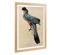 Big Box Art Framed Print of Vintage H Johnston Blue Plantain-Eater Design | Wall Art Picture | Home Decor for Kitchen, Living Room, Bedroom, Hallway, Oak, A2 / 24.5x18 Inch / 62x45cm
