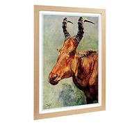 Big Box Art Framed Print of Vintage H Johnston Jackson's Hartebeest Design | Wall Art Picture | Home Decor for Kitchen, Living Room, Bedroom, Hallway, Oak, A2 / 24.5x18 Inch / 62x45cm