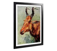 Big Box Art Framed Print of Vintage H Johnston Jackson's Hartebeest Design | Wall Art Picture | Home Decor for Kitchen, Living Room, Bedroom, Hallway, Black, A2 / 24.5x18 Inch / 62x45cm