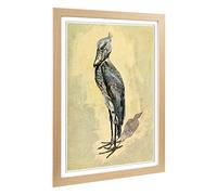 Big Box Art Framed Print of Vintage H Johnston Whale-Headed Stork Design | Wall Art Picture | Home Decor for Kitchen, Living Room, Bedroom, Hallway, Oak, A2 / 24.5x18 Inch / 62x45cm
