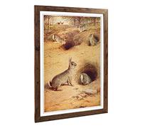 Big Box Art Framed Print of Vintage Luker. William Rabbits Design | Wall Art Picture | Home Decor for Kitchen, Living, Dining Room, Bedroom, Hallway, Office, Walnut, A2 / 24.5x18 Inch / 62x45cm