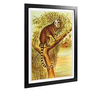 Big Box Art Framed Print of Vintage Marmoset Design | Wall Art Picture | Home Decor for Kitchen, Living, Dining Room, Lounge, Bedroom, Hallway, Office, Black, A2 / 24.5x18 Inch / 62x45cm
