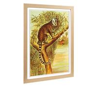 Big Box Art Framed Print of Vintage Marmoset Design | Wall Art Picture | Home Decor for Kitchen, Living, Dining Room, Lounge, Bedroom, Hallway, Office, Oak, A2 / 24.5x18 Inch / 62x45cm