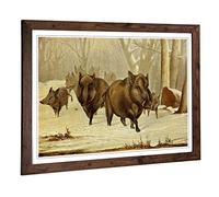 Big Box Art Framed Print of Vintage Natural History Wild Hogs Design | Wall Art Picture | Home Decor for Kitchen, Living Room, Bedroom, Hallway, Walnut, A2 / 24.5x18 Inch / 62x45cm
