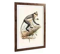 Big Box Art Framed Print of Vintage Smit. Joseph Thomas's Douc Design | Wall Art Picture | Home Decor for Kitchen, Living Room, Bedroom, Hallway, Walnut, A2 / 24.5x18 Inch / 62x45cm