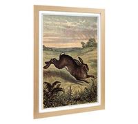 Big Box Art Framed Print of Vintage Tame Animals Hare Design | Wall Art Picture | Home Decor for Kitchen, Living, Dining Room, Bedroom, Hallway, Office, Oak, A2 / 24.5x18 Inch / 62x45cm