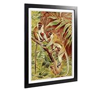 Big Box Art Framed Print of Vintage W Kuhnert Green Monkey Design | Wall Art Picture | Home Decor for Kitchen, Living, Dining Room, Bedroom, Hallway, Office, Black, A2 / 24.5x18 Inch / 62x45cm