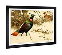 Big Box Art Framed Print of Vintage W Kuhnert Himalayan Monal Pheasant Design | Wall Art Picture | Home Decor for Kitchen, Living Room, Bedroom, Hallway, Black, A2 / 24.5x18 Inch / 62x45cm