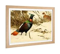 Big Box Art Framed Print of Vintage W Kuhnert Himalayan Monal Pheasant Design | Wall Art Picture | Home Decor for Kitchen, Living Room, Bedroom, Hallway, Oak, A2 / 24.5x18 Inch / 62x45cm