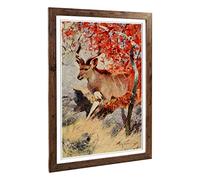 Big Box Art Framed Print of Vintage W Kuhnert Kudu (2) Design | Wall Art Picture | Home Decor for Kitchen, Living, Dining Room, Bedroom, Hallway, Office, Walnut, A2 / 24.5x18 Inch / 62x45cm