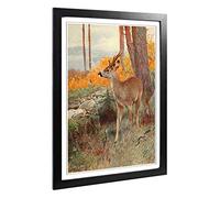 Big Box Art Framed Print of Vintage W Kuhnert Roe Deer Design | Wall Art Picture | Home Decor for Kitchen, Living, Dining Room, Bedroom, Hallway, Office, Black, A2 / 24.5x18 Inch / 62x45cm