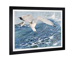 Big Box Art Framed Print of Vintage W Kuhnert Silver Gull Design | Wall Art Picture | Home Decor for Kitchen, Living, Dining Room, Bedroom, Hallway, Office, Black, A2 / 24.5x18 Inch / 62x45cm