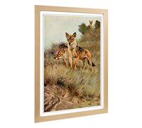 Big Box Art Framed Print of Vintage W Kuhnert Wolf Design | Wall Art Picture | Home Decor for Kitchen, Living, Dining Room, Lounge, Bedroom, Hallway, Office, Oak, A2 / 24.5x18 Inch / 62x45cm