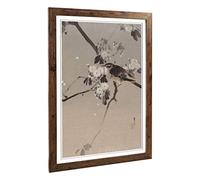 Big Box Art Framed Print of Watanabe Shotei Oriental Japanese Bird Design | Wall Art Picture | Home Decor for Kitchen, Living Room, Bedroom, Hallway, Walnut, A2 / 24.5x18 Inch / 62x45cm
