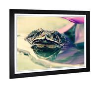 Big Box Art Framed Print of Water Lily Toad Design | Wall Art Picture | Home Decor for Kitchen, Living, Dining Room, Lounge, Bedroom, Hallway, Office, Black, A2 / 24.5x18 Inch / 62x45cm