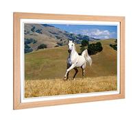 Big Box Art Framed Print of White Horse Running Landscape Design | Wall Art Picture | Home Decor for Kitchen, Living, Dining Room, Bedroom, Hallway, Office, Oak, A2 / 24.5x18 Inch / 62x45cm