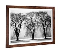 Big Box Art Framed Print of Winter Landscape Three Beautiful Trees Design | Wall Art Picture | Home Decor for Kitchen, Living Room, Bedroom, Hallway, Walnut, A2 / 24.5x18 Inch / 62x45cm
