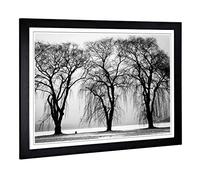 Big Box Art Framed Print of Winter Landscape Three Beautiful Trees Design | Wall Art Picture | Home Decor for Kitchen, Living Room, Bedroom, Hallway, Black, A2 / 24.5x18 Inch / 62x45cm
